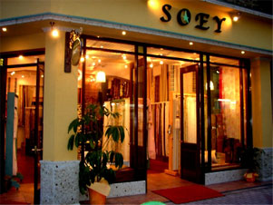 �J�[�e�����C�����V���b�vSOEY